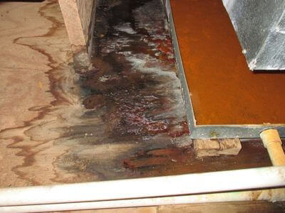 About FirmNest Crew - water damage restoration experts in Viejo
